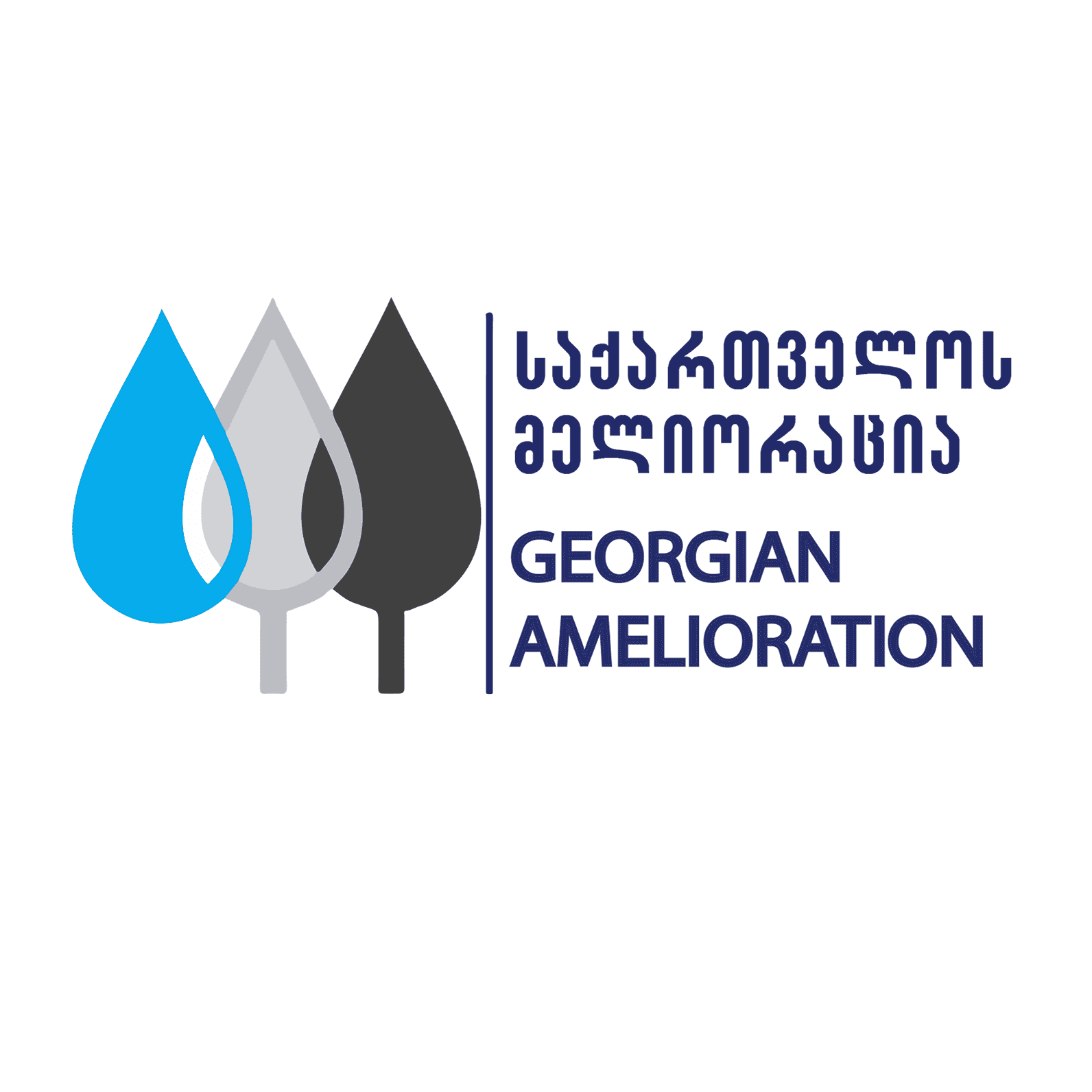საქართველოს მელიორაცია